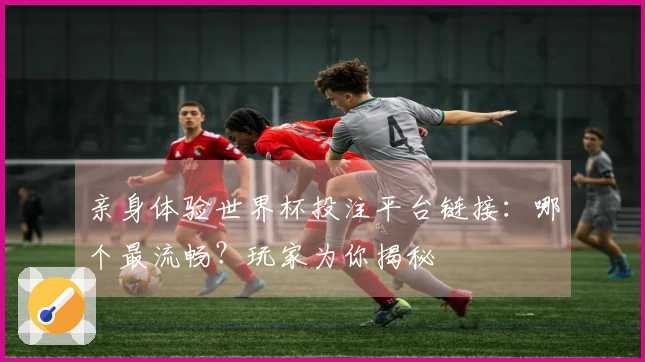 亲身体验世界杯投注平台链接：哪个最流畅？玩家为你揭秘