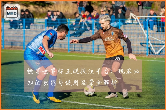 畅享世界杯正规投注平台：玩家必知的功能与使用场景全解析