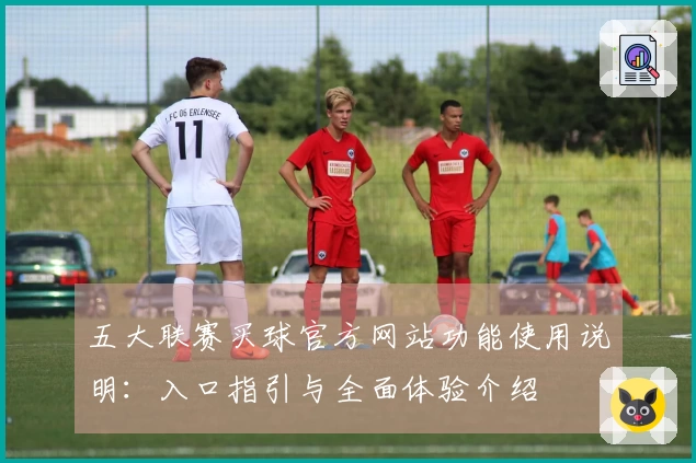 五大联赛买球官方网站功能使用说明：入口指引与全面体验介绍