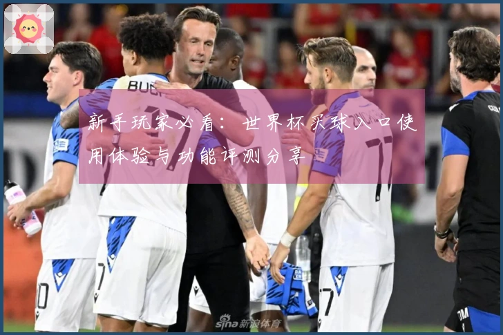 新手玩家必看：世界杯买球入口使用体验与功能评测分享