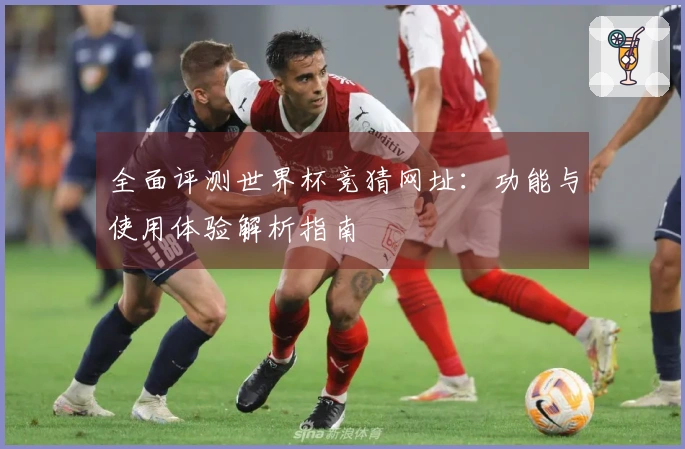 全面评测世界杯竞猜网址：功能与使用体验解析指南