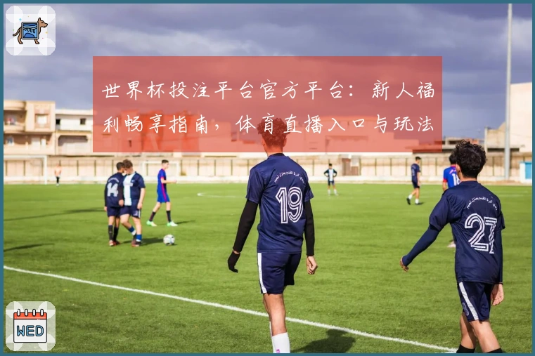 世界杯投注平台官方平台：新人福利畅享指南，体育直播入口与玩法全攻略