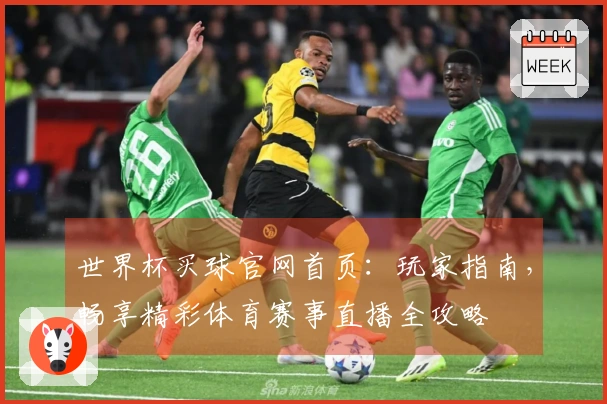 世界杯买球官网首页：玩家指南，畅享精彩体育赛事直播全攻略