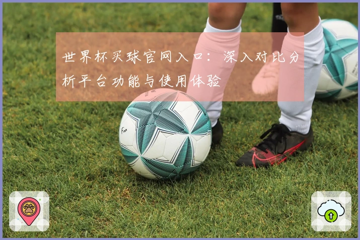 世界杯买球官网入口：深入对比分析平台功能与使用体验