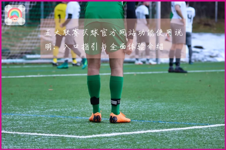 五大联赛买球官方网站功能使用说明：入口指引与全面体验介绍